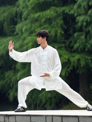 The basic steps of Tai Chi 太极基本步法(8 episodes)