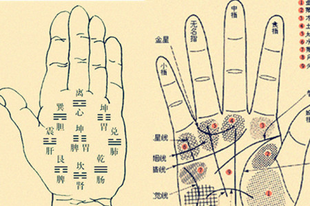 Five Elements, Feng Shui, Palmistry, and Destiny Interpretation (Marriage, Health, Wealth, Peace) - 图片 2